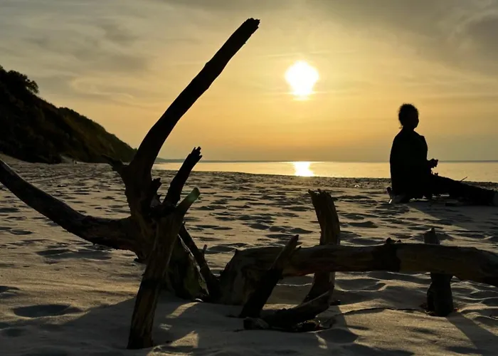 Apartament Amber House