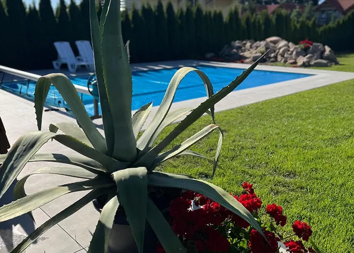 Apartament Amber House