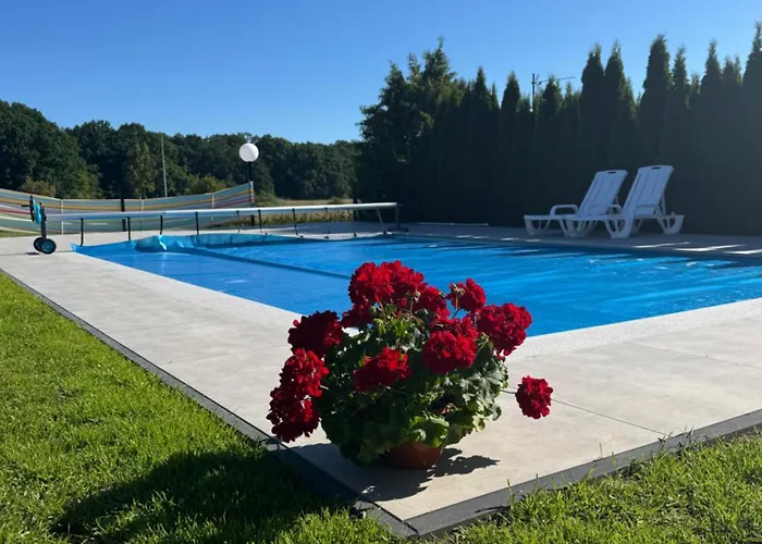 Amber House Apartament Debina (Ustka)